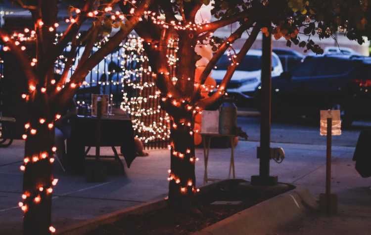 Photo 1 of Under the Lights benefitting On the Rock.