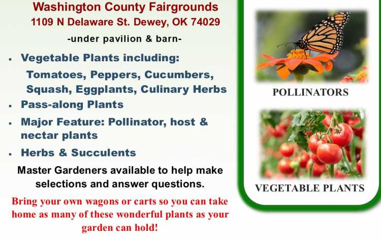 Photo 2 of Washington County Master Gardener Plant Sale fundraiser.