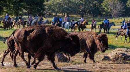 Photo of Woolaroc Fall Trail Ride.
