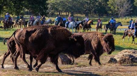 Photo of Woolaroc Fall Trail Ride.