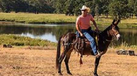 Photo of Woolaroc Fall Trail Ride (must provide your own horse).