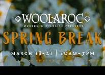 Image representing the Woolaroc Spring Break event