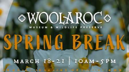 Photo of Woolaroc Spring Break.