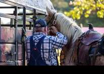 Image representing the Woolaroc Spring Trail Ride (bring your own horse) event