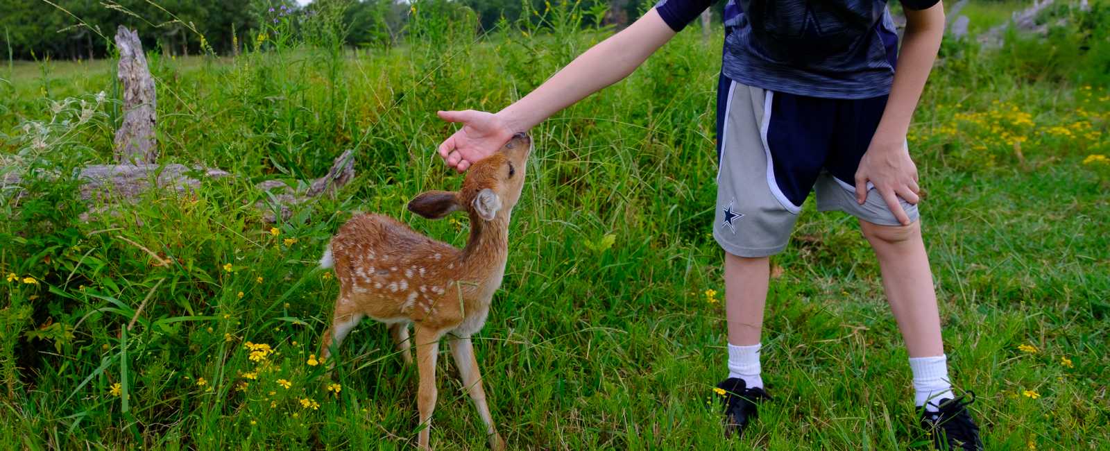 Visit Bartlesville Outdoors & Wildlife photo. Photo courtesty of Kathryn Peaster