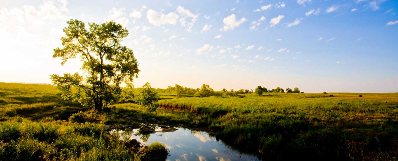 Visit Bartlesville The Osage & Pioneer Woman photo. Photo courtesty of TravelOK