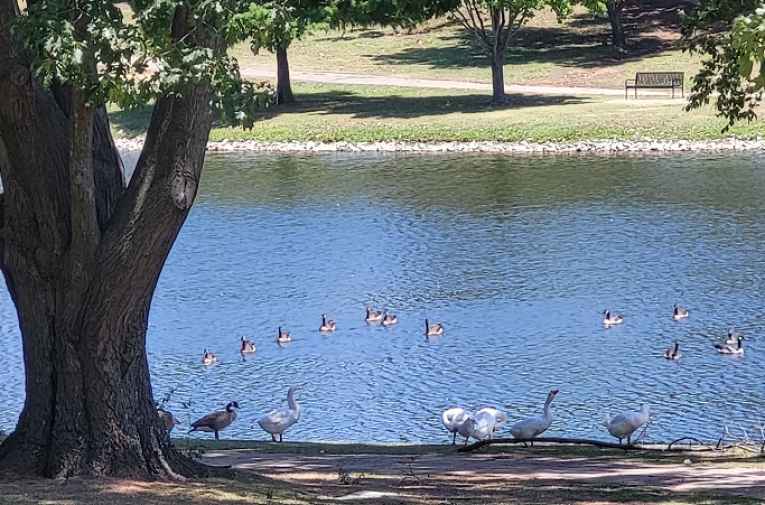 Jo Allyn Lowe Park Explore Bartlesville, OK