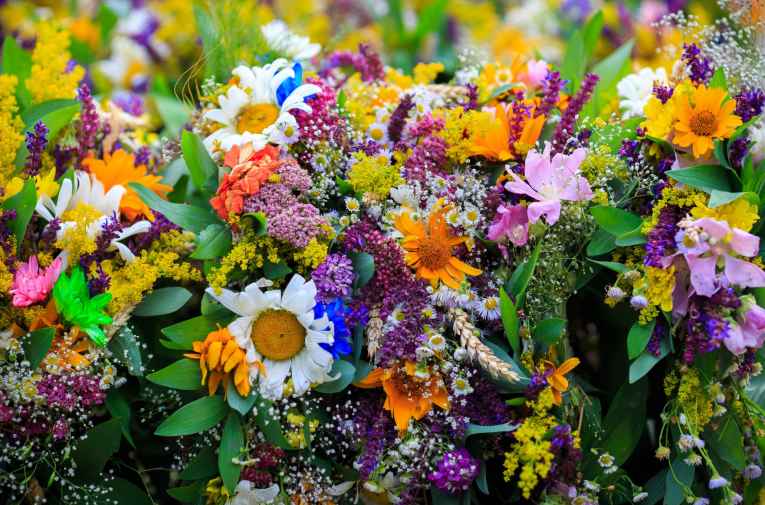 Roots & Blooms Floral Design Explore Bartlesville, OK