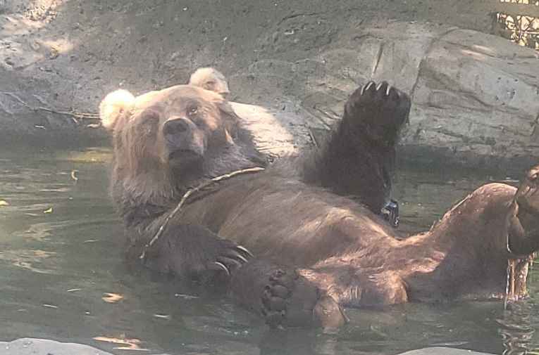 Safari Zoological Park (Caney, KS) Explore Bartlesville, OK