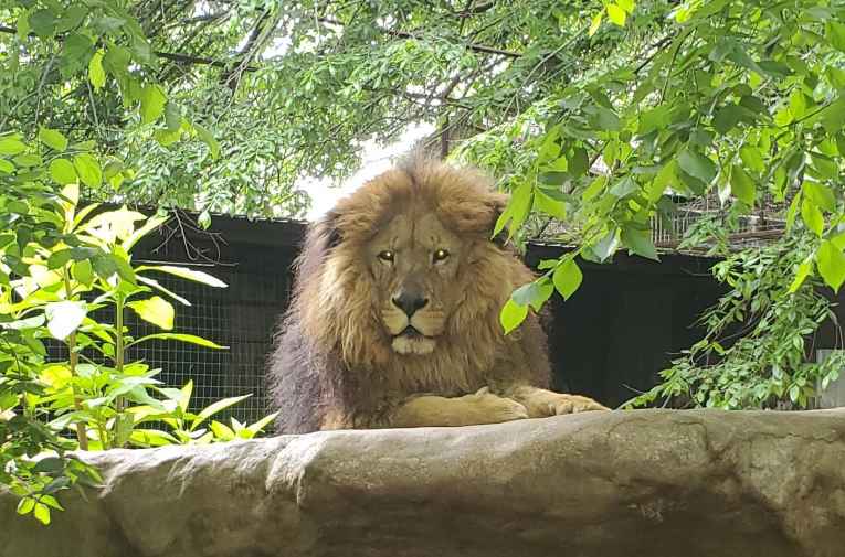 caney ks safari zoological park