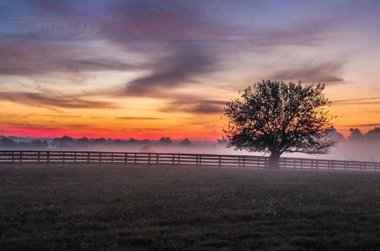 none - Wolf Creek Ranch Western Recreation & Event Venue, located in Pawhuska OK (large)