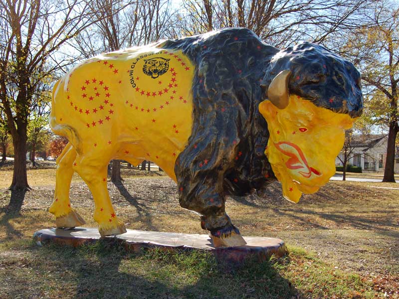 Wildcat Painted buffalo sculpture